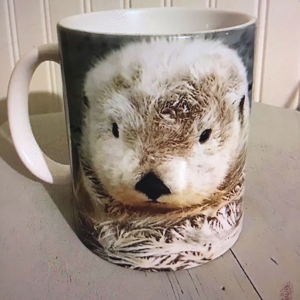 Vancouver aquarium White Otter Photo Ceramic Mug - Home Dining